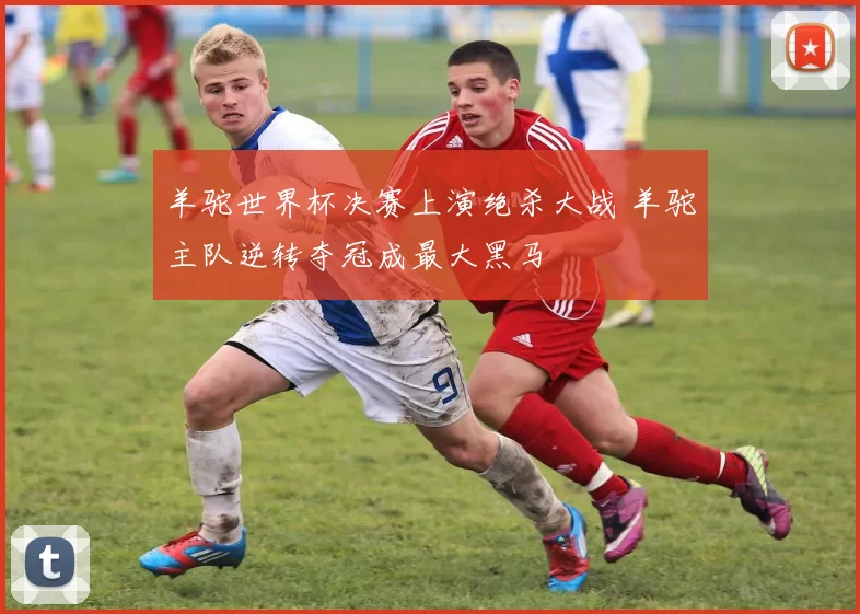羊驼世界杯决赛上演绝杀大战 羊驼主队逆转夺冠成最大黑马
