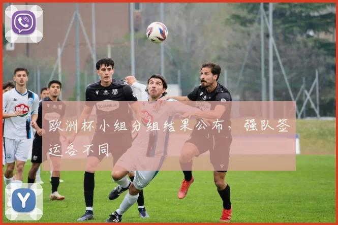 欧洲杯小组分组结果公布，强队签运各不同