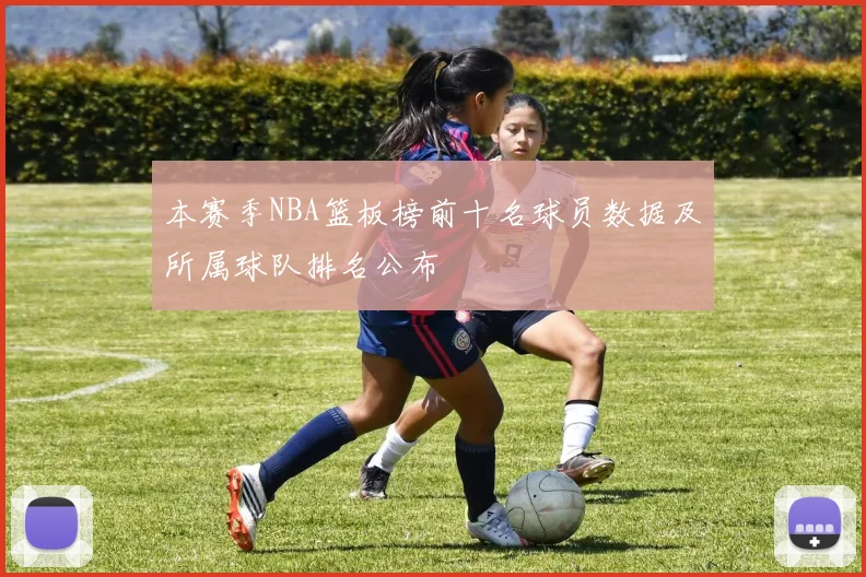 本赛季NBA篮板榜前十名球员数据及所属球队排名公布
