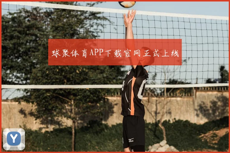 球聚体育APP下载官网正式上线