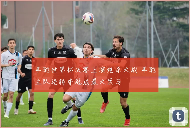 羊驼世界杯决赛上演绝杀大战 羊驼主队逆转夺冠成最大黑马